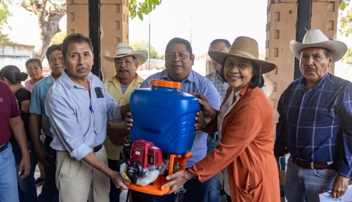 11559e5a-0c6c-4bc9-959c-d8d4282021be