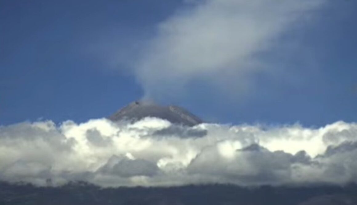 2618155f-14d1-4e2e-bac9-a15482f79f86