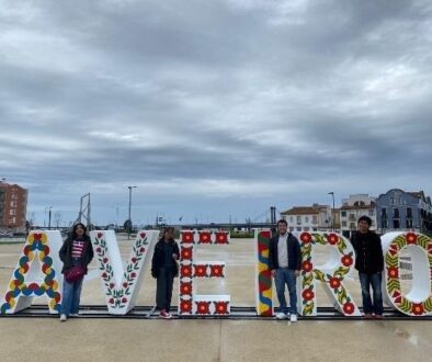 88f916ec-aef4-40f2-9444-3e2a1b857c8b