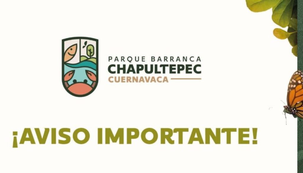 615201454_1477785523913840_1757154197762380399_n