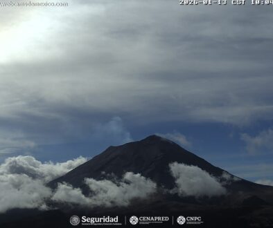 14509115-9108-4d3a-b126-a8d4e7d33834