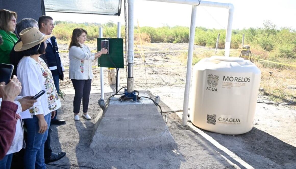 4f536cc8-6670-43c7-8eb8-3de5d40c11fe