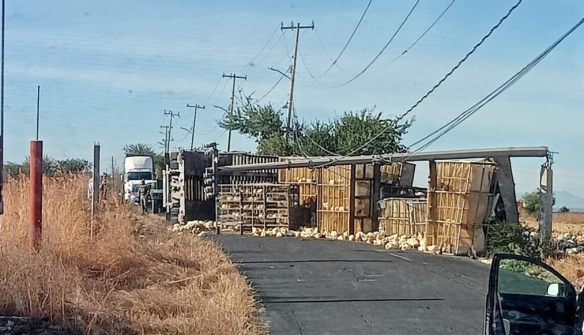 615825688_1554912729361188_2638655565332232953_n