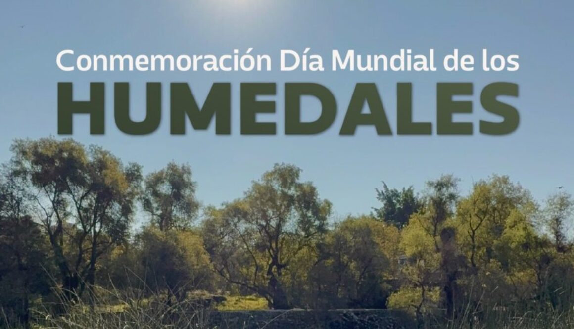 WhatsApp Image 2026-01-13 at 3.00.29 PM