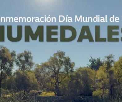 WhatsApp Image 2026-01-13 at 3.00.29 PM