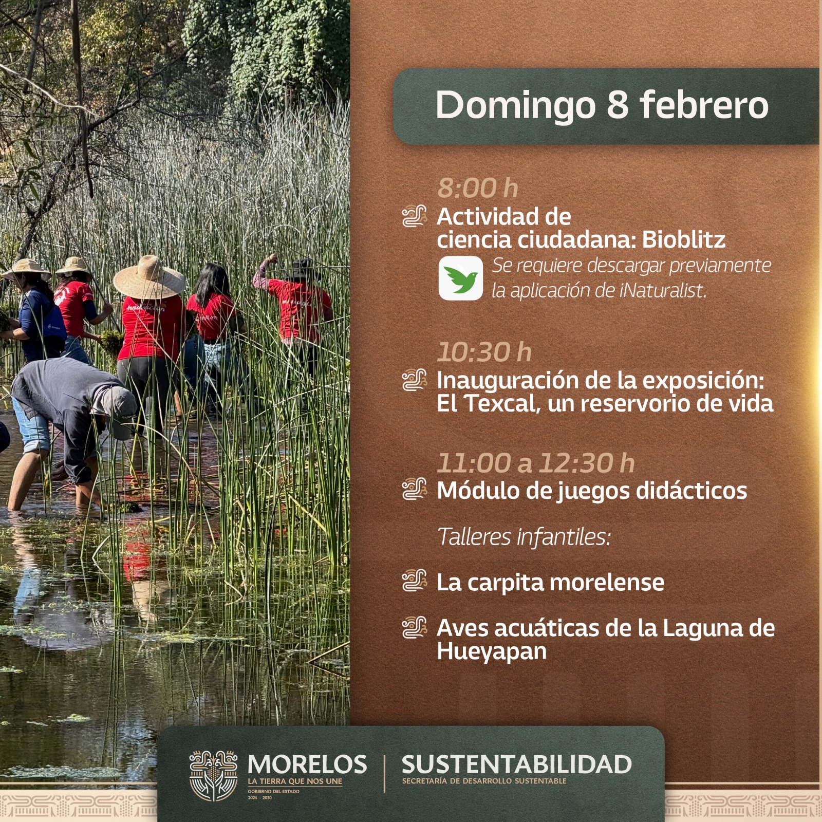 CONMEMORARÁ GOBIERNO DE MORELOS DÍA MUNDIAL DE LOS HUMEDALES CON ACCIONES DE SANEAMIENTO EN EL TEXCAL