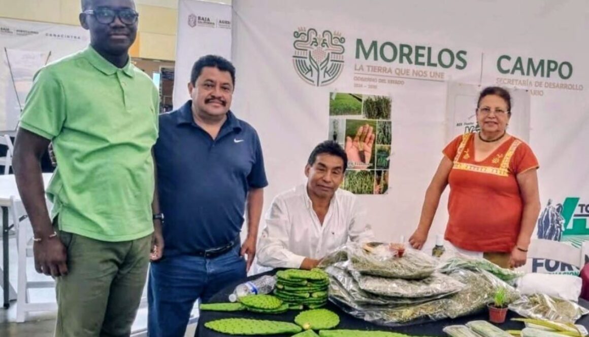 42051ff7-9bb0-472e-989d-3b21767c0836