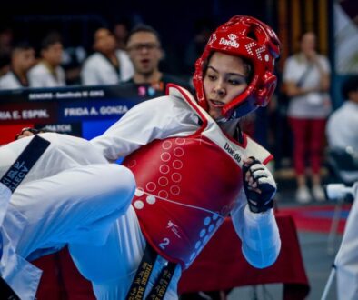 3530a355-d6f7-443d-b7b3-120dcc23e04a