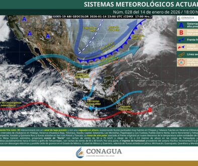 imagen_interpretada_web