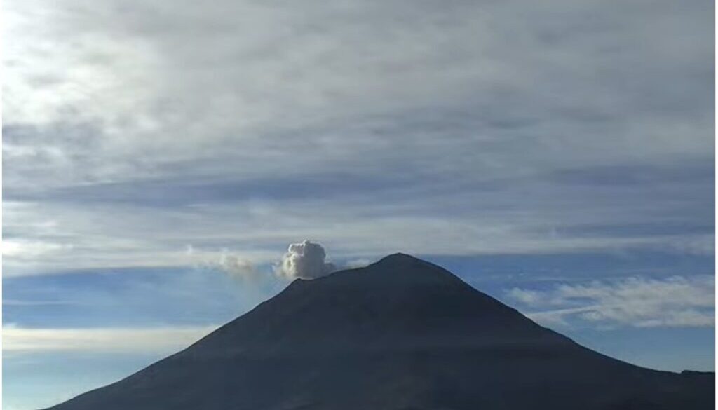 WhatsApp Image 2026-01-15 at 11.45.07 AM