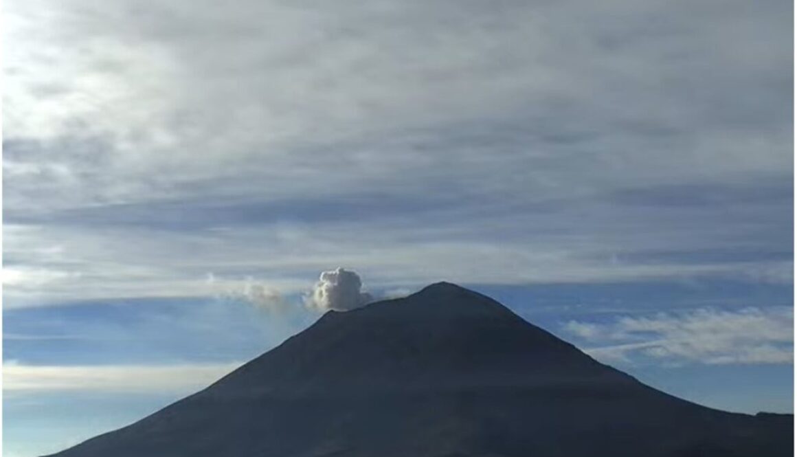 WhatsApp Image 2026-01-15 at 11.45.07 AM