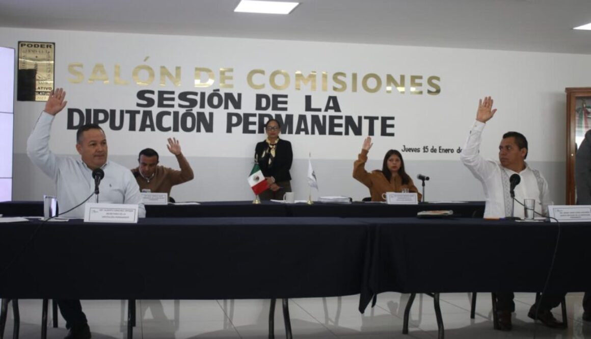 WhatsApp Image 2026-01-15 at 2.07.51 PM