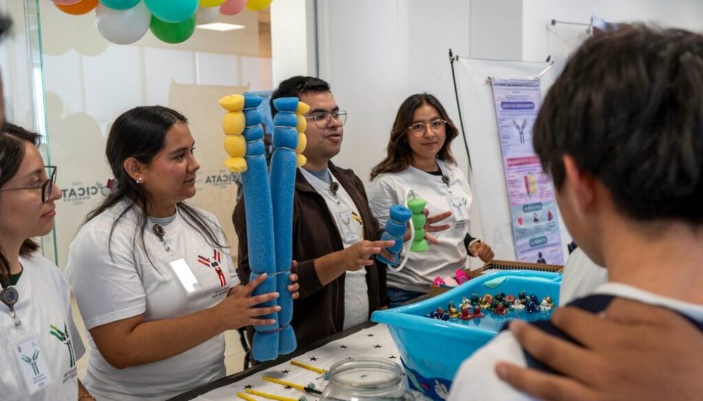 82e53d35-0da3-48d7-b8ac-e7b3f4f4fb89