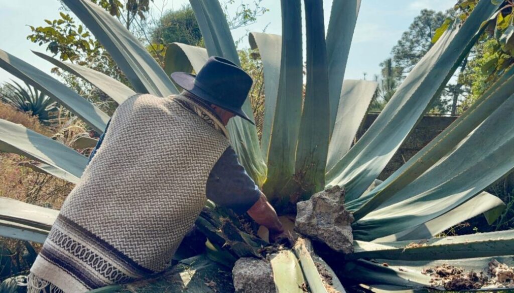 WhatsApp Image 2026-01-20 at 11.10.43 AM