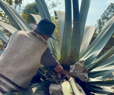 WhatsApp Image 2026-01-20 at 11.10.43 AM