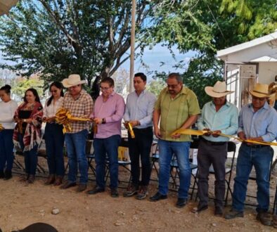 WhatsApp Image 2026-01-21 at 11.00.10 AM