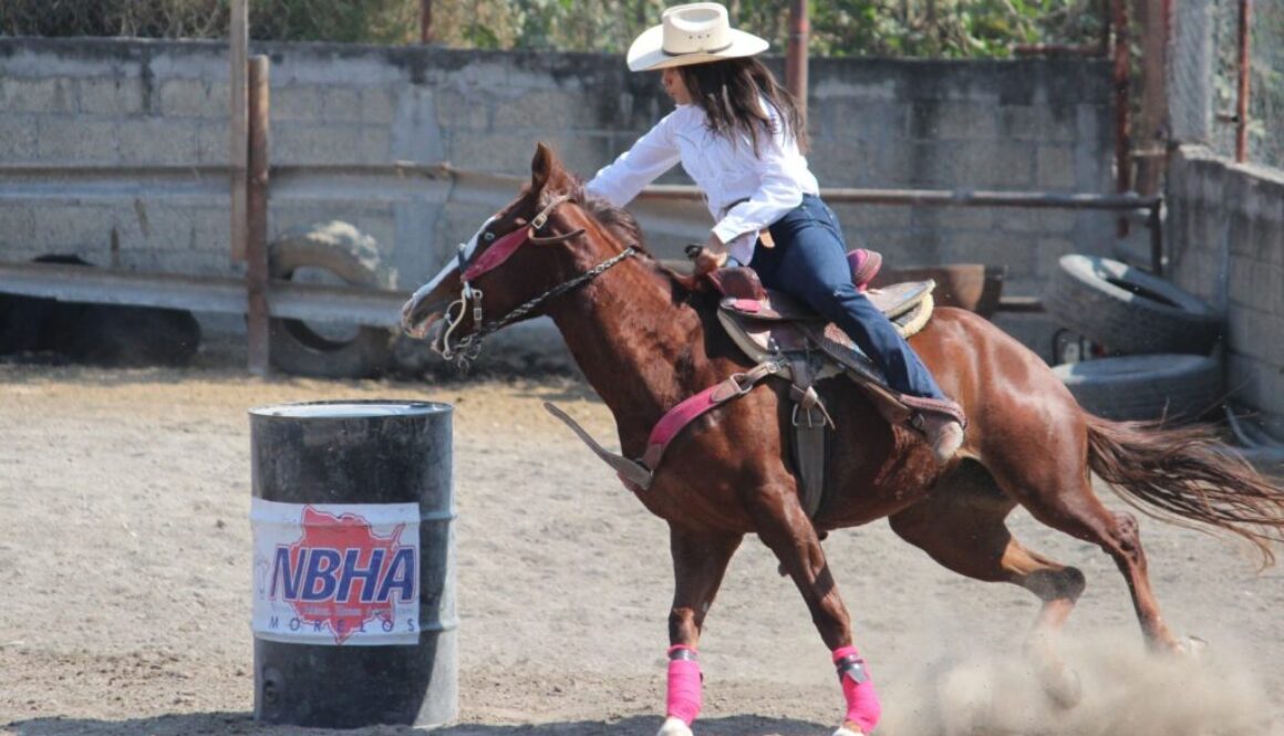 WhatsApp Image 2026-01-21 at 11.45.29 AM