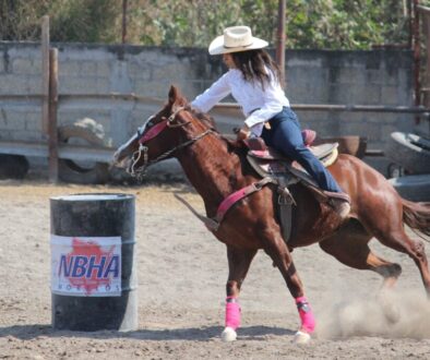 WhatsApp Image 2026-01-21 at 11.45.29 AM