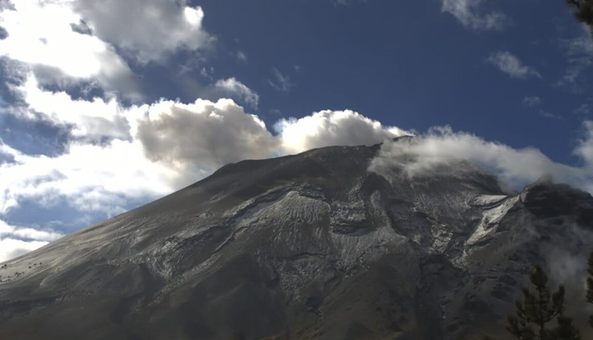 WhatsApp Image 2026-01-21 at 2.32.16 PM