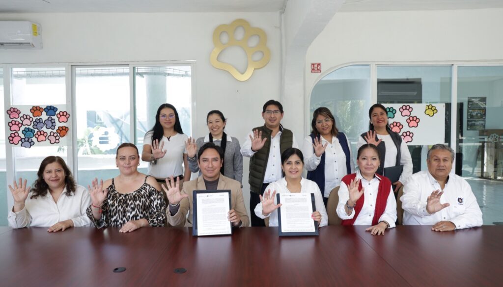 WhatsApp Image 2026-01-21 at 4.05.29 PM