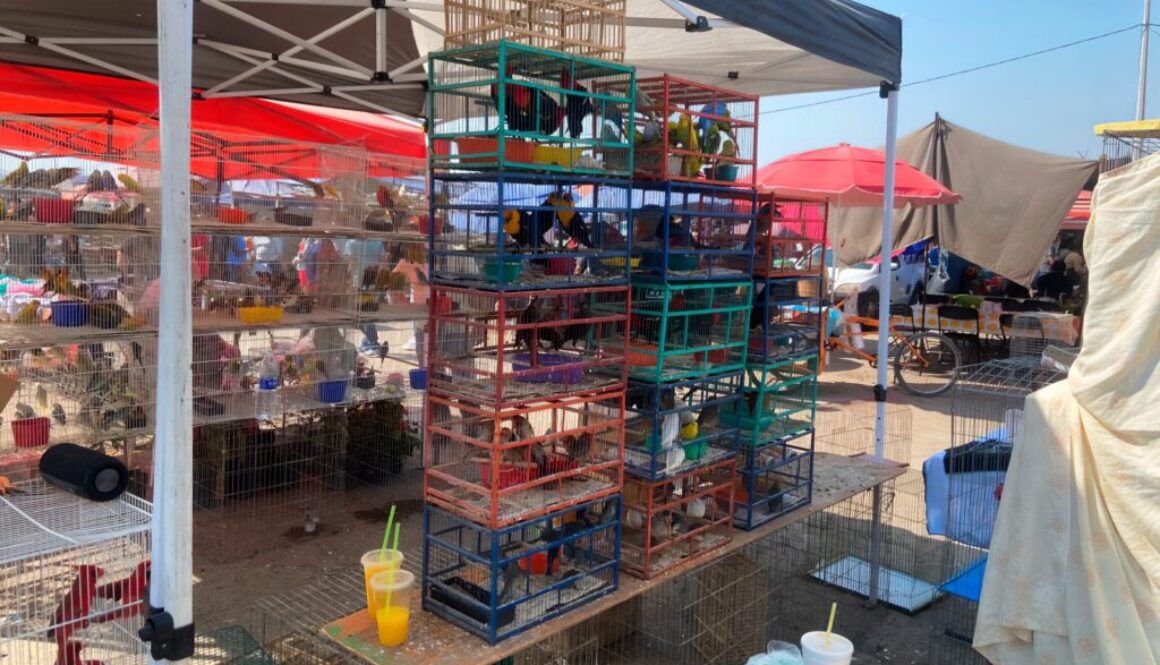 WhatsApp Image 2026-01-21 at 8.30.18 PM