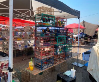 WhatsApp Image 2026-01-21 at 8.30.18 PM