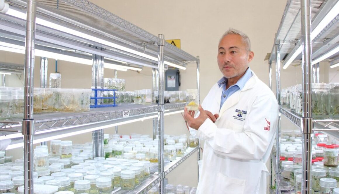 Dr Alexandre Cardoso Taketa CEIB UAEM2