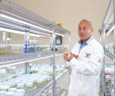 Dr Alexandre Cardoso Taketa CEIB UAEM2