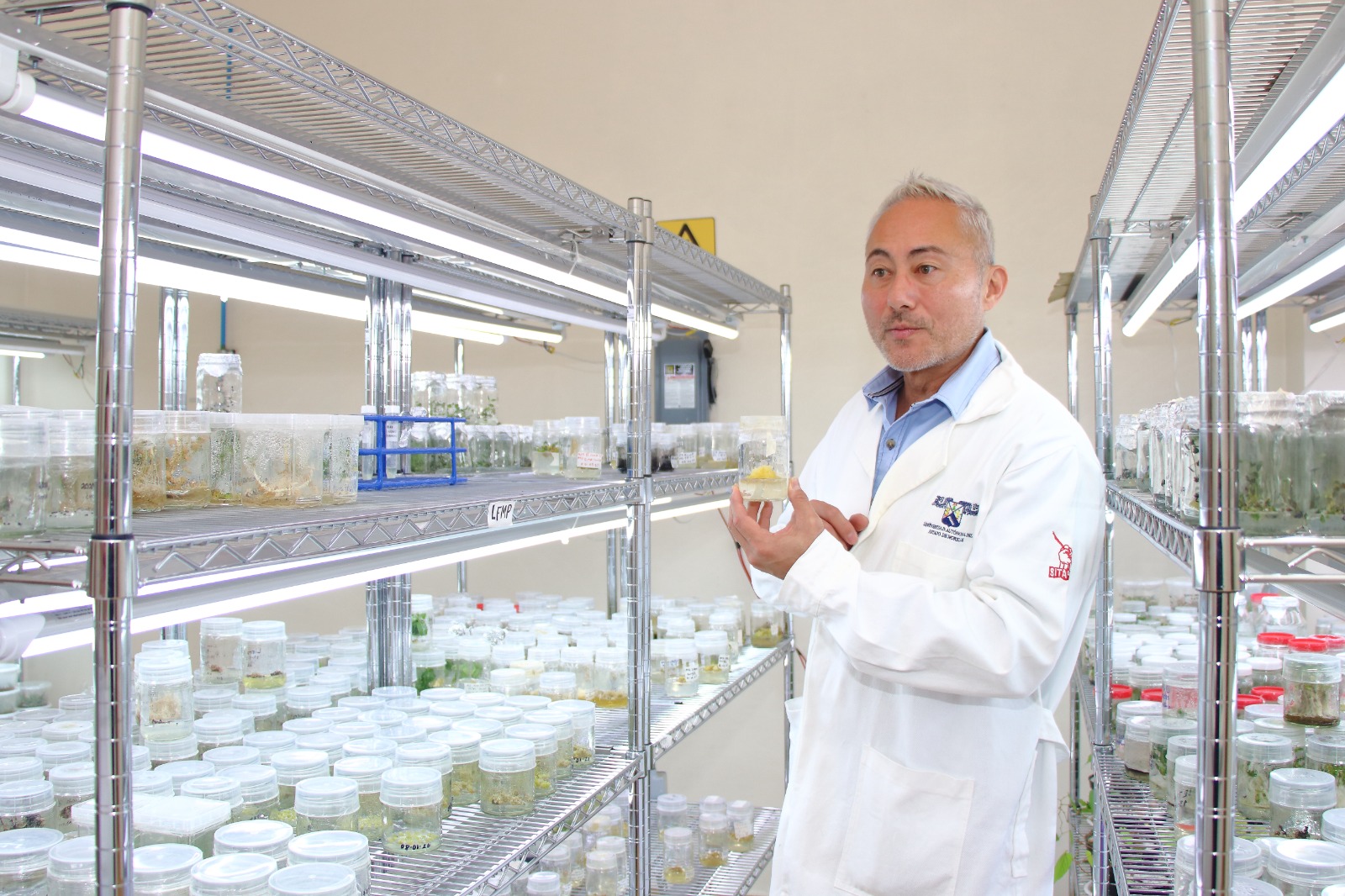 Impulsa CEIB el desarrollo de fármacos sostenibles a partir de la herbolaria mexicana