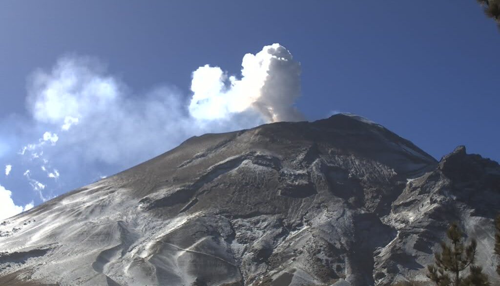 WhatsApp Image 2026-01-22 at 11.55.15 AM