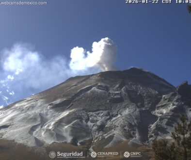 WhatsApp Image 2026-01-22 at 11.55.15 AM