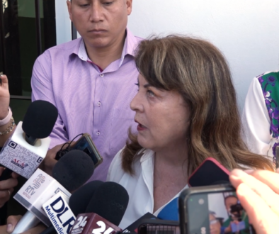 Captura de pantalla 2026-01-22 150124