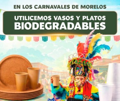 WhatsApp Image 2026-01-22 at 4.55.13 PM