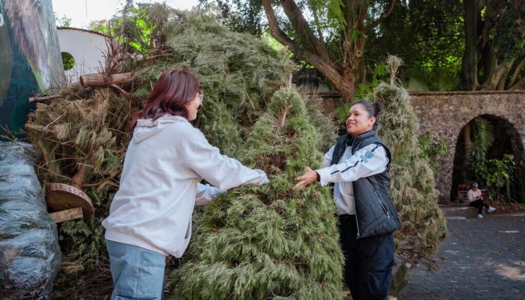 WhatsApp Image 2026-01-27 at 1.15.50 PM