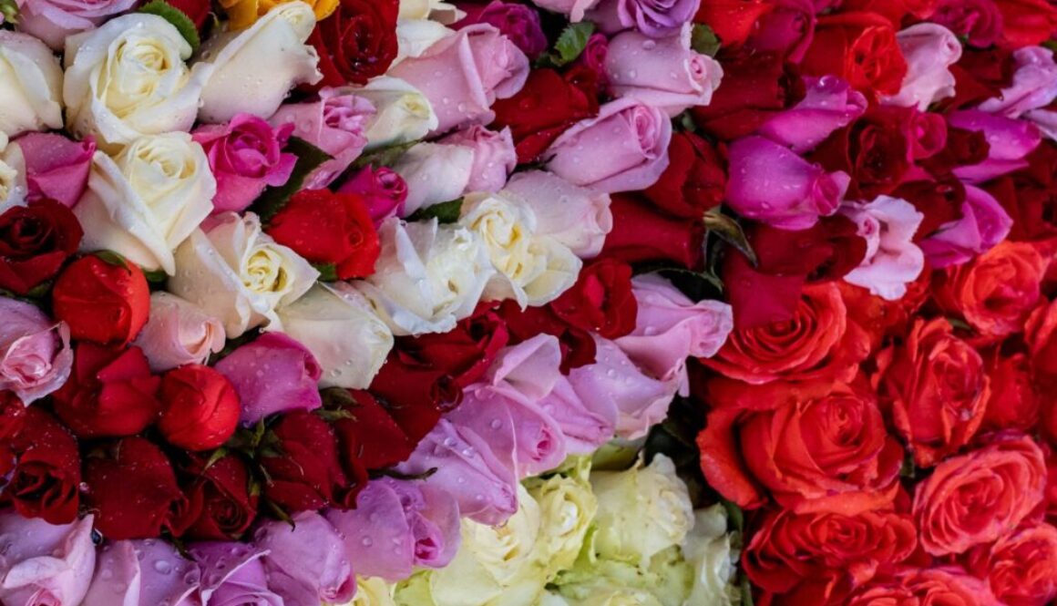 WhatsApp Image 2026-01-27 at 4.20.35 PM