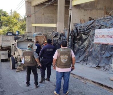 WhatsApp Image 2026-01-27 at 2.55.46 PM