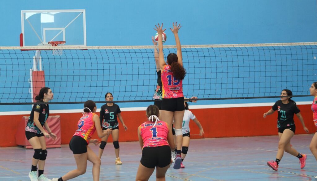 WhatsApp Image 2026-01-28 at 1.30.04 PM