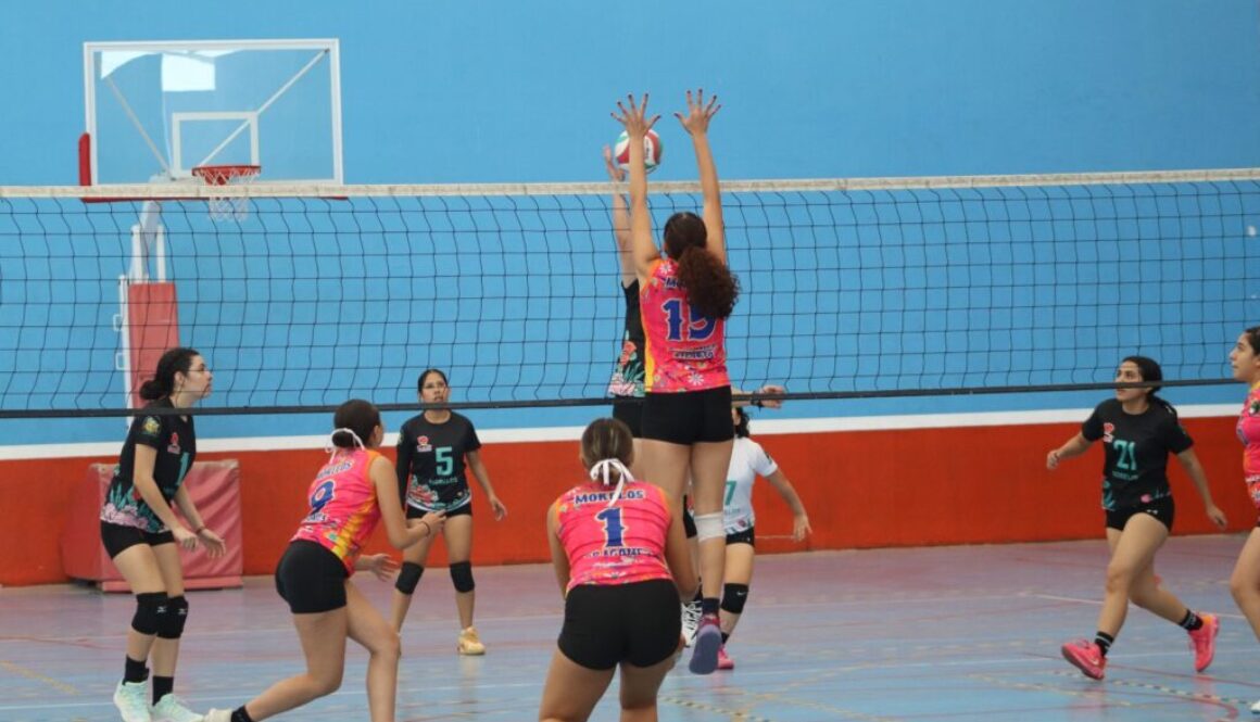 WhatsApp Image 2026-01-28 at 1.30.04 PM