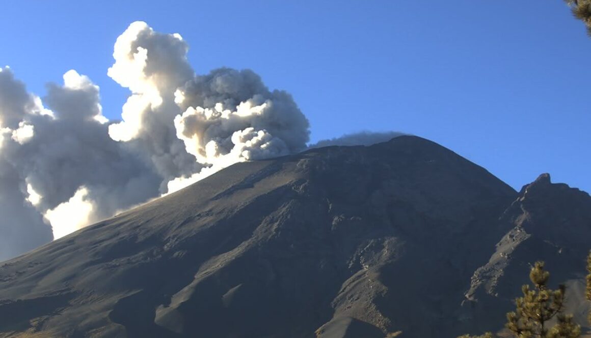 WhatsApp Image 2026-01-28 at 12.00.10 PM