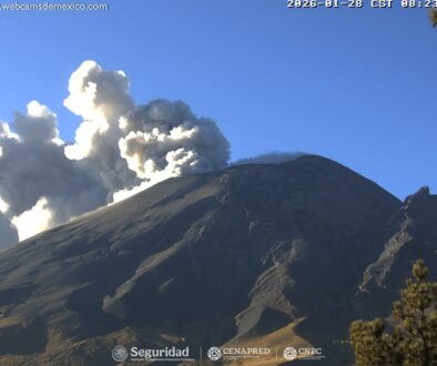 WhatsApp Image 2026-01-28 at 12.00.10 PM