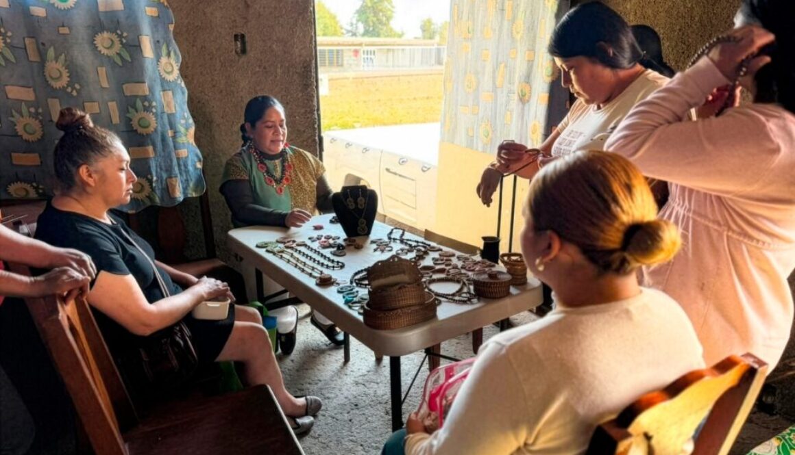 WhatsApp Image 2026-01-28 at 2.30.32 PM