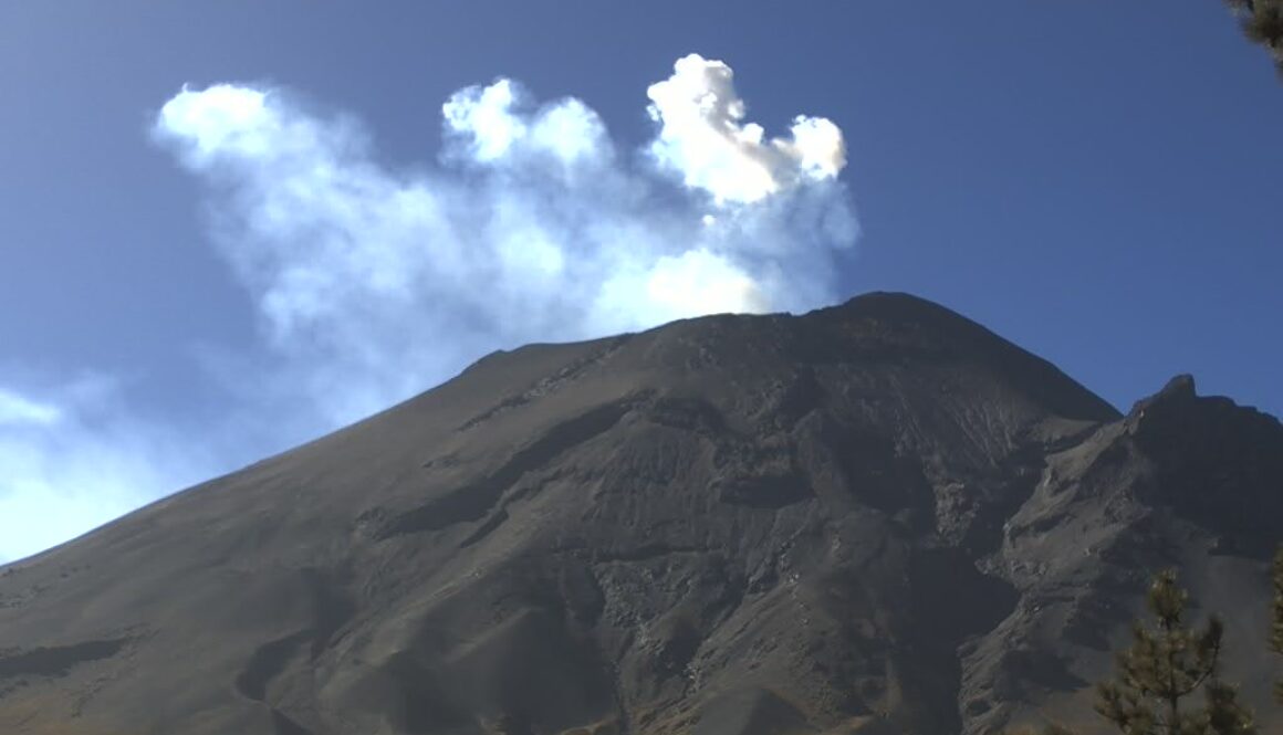 f03882fa-a9f7-4142-bf34-17ba03849abb