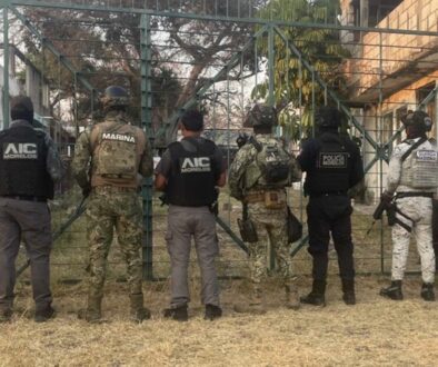 f89e33af-929f-4fce-91c2-9af330cd0a05