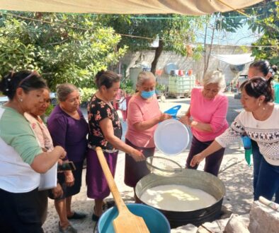 b014f1d7-8806-465e-b0e3-4f15d3e19e49