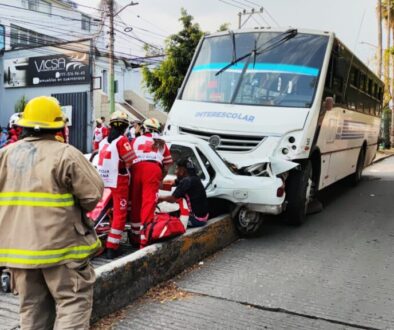 ed06cf3e-9ecf-4c6a-ade8-ee3f473e0f4c