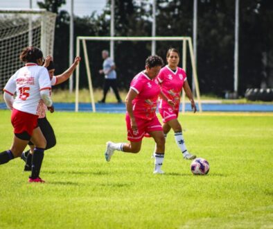 441d480a-5eb9-43ff-a691-b4be368c54d6