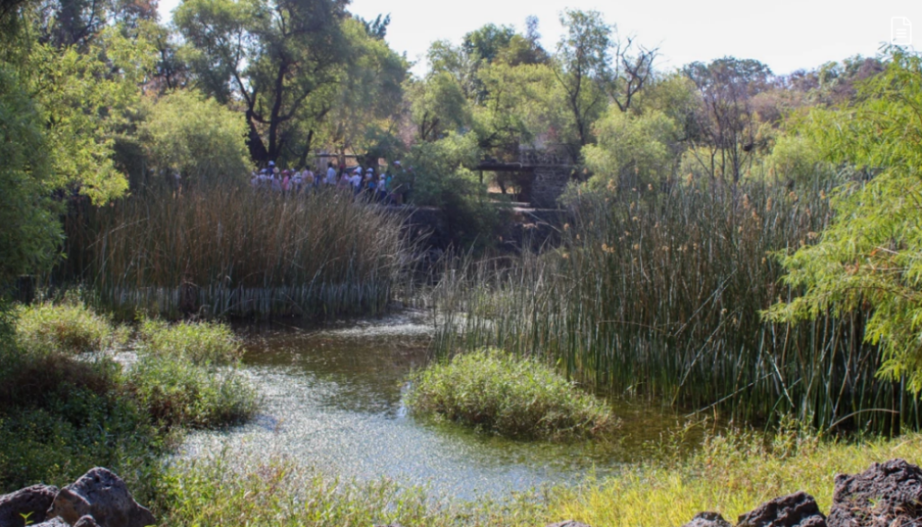 Captura de pantalla 2026-02-04 130959