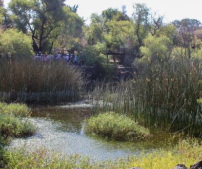 Captura de pantalla 2026-02-04 130959