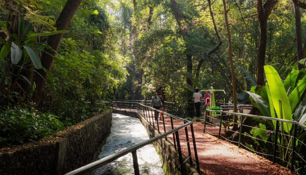 WhatsApp Image 2026-02-04 at 4.40.04 PM