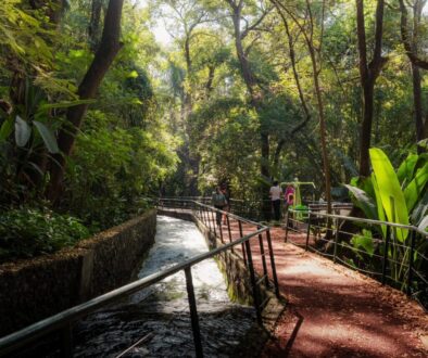 WhatsApp Image 2026-02-04 at 4.40.04 PM